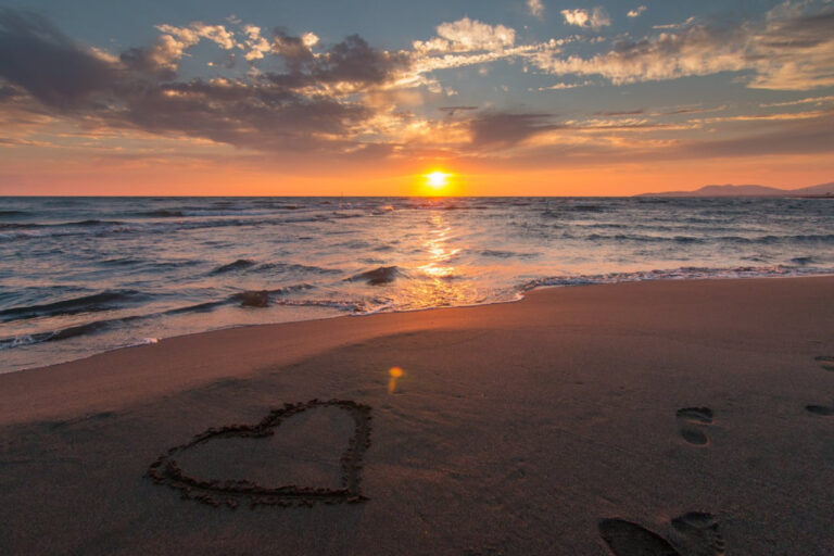Take a Sunset Cruise