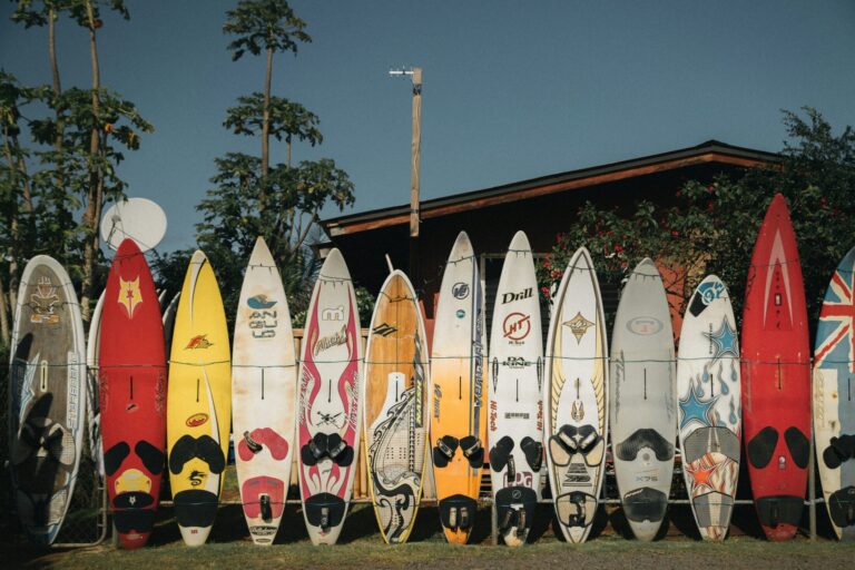 Featured image of Wave Hog Surf Shop in Long Beach Island Lifestyle Page