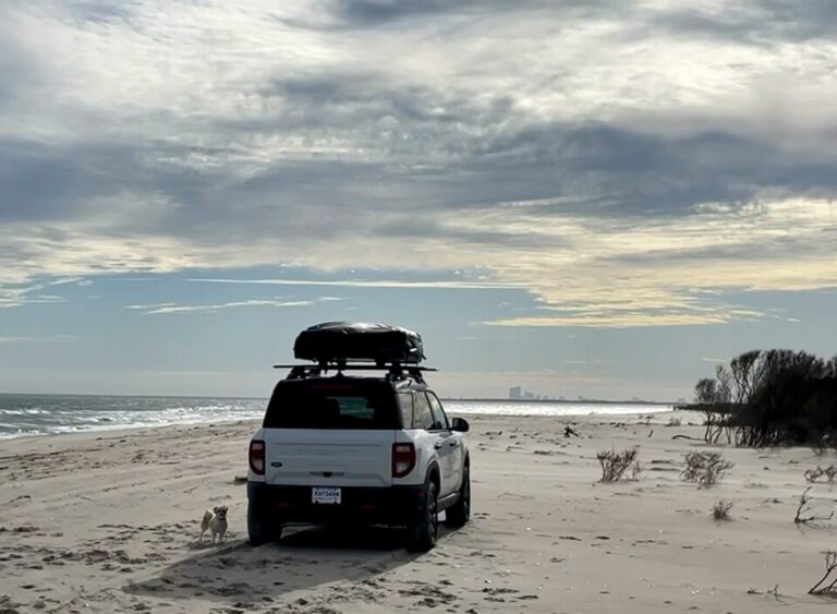 a photo of an off road vehicle on beach front