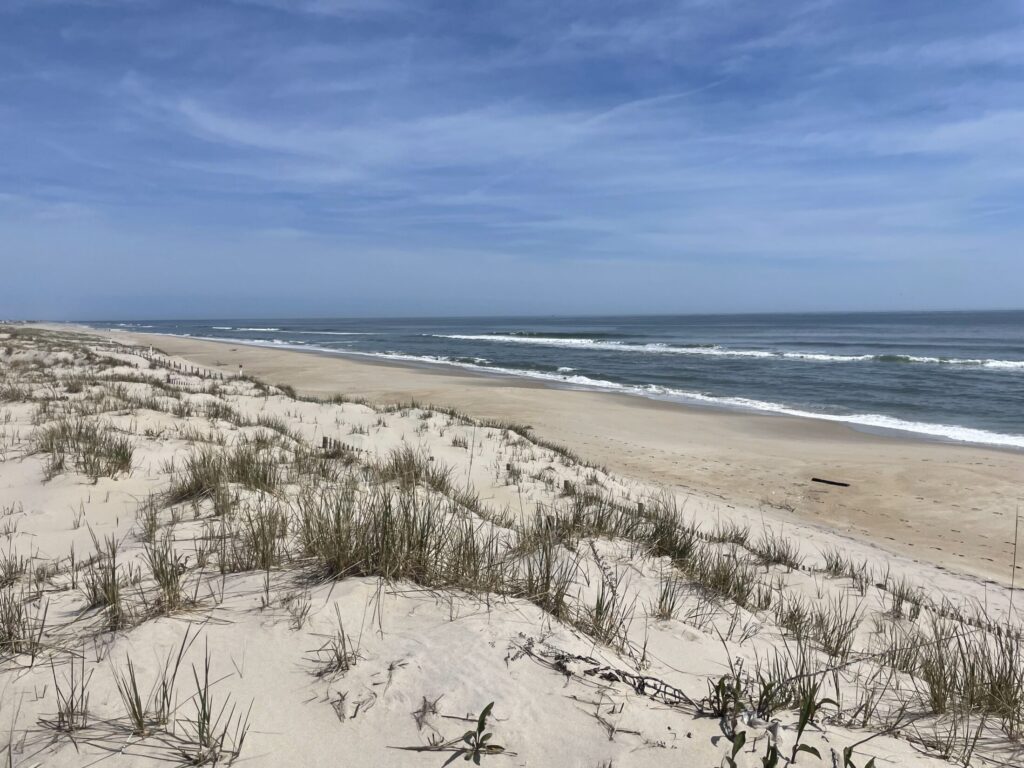 Featured image of Beach Haven Park in Long Beach Island Lifestyle Page