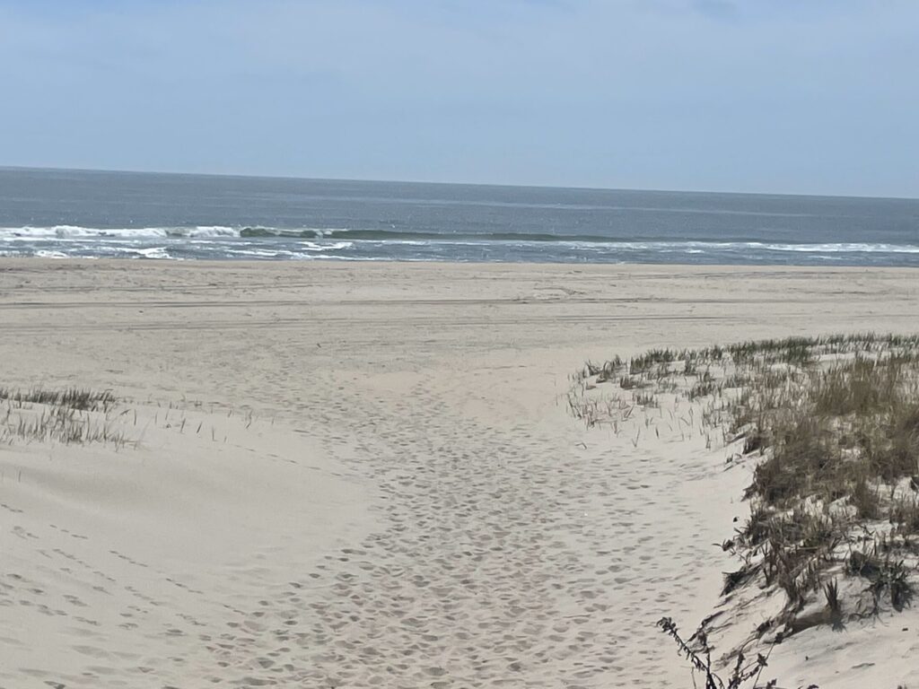 Featured image of Brant Beach in Long Beach Island Lifestyle Page