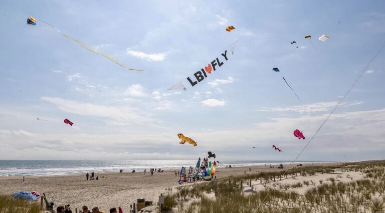 You are currently viewing Long Beach Island Fly Kite Festival