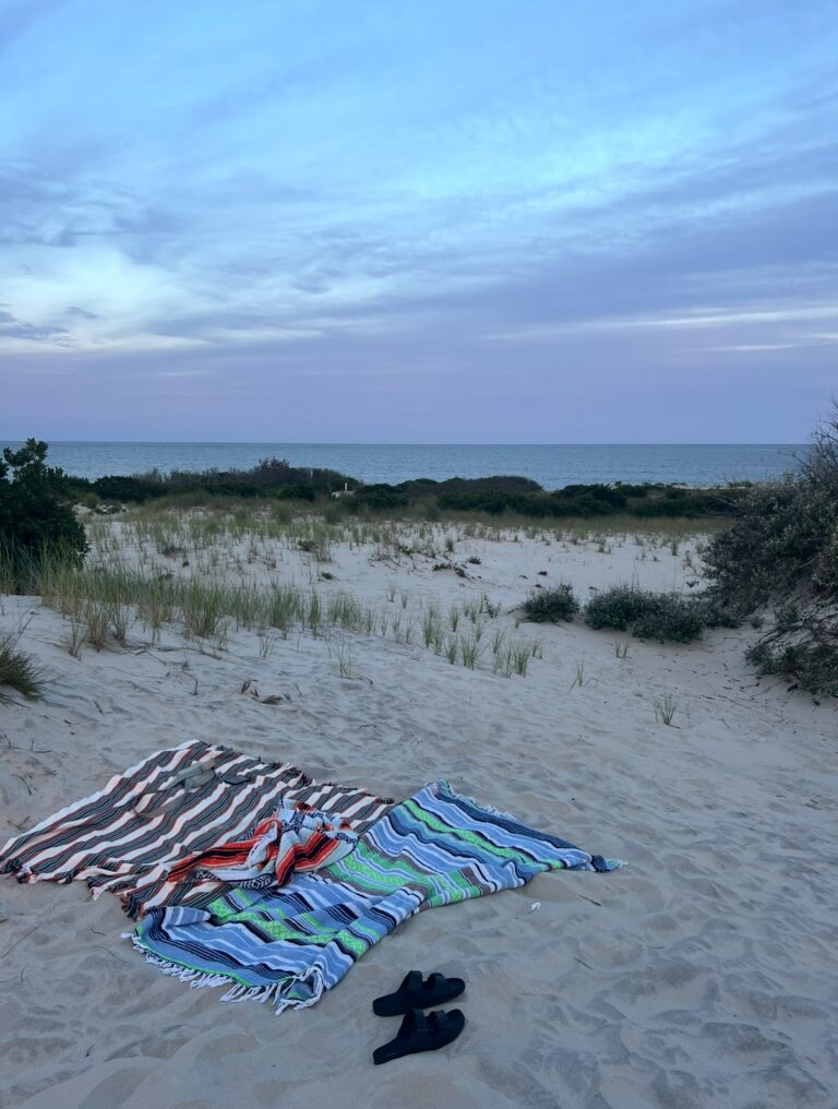 Barnegat Light Sand Dunes