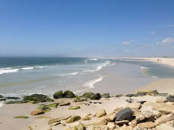 Holgate Beach Wilderness Area
