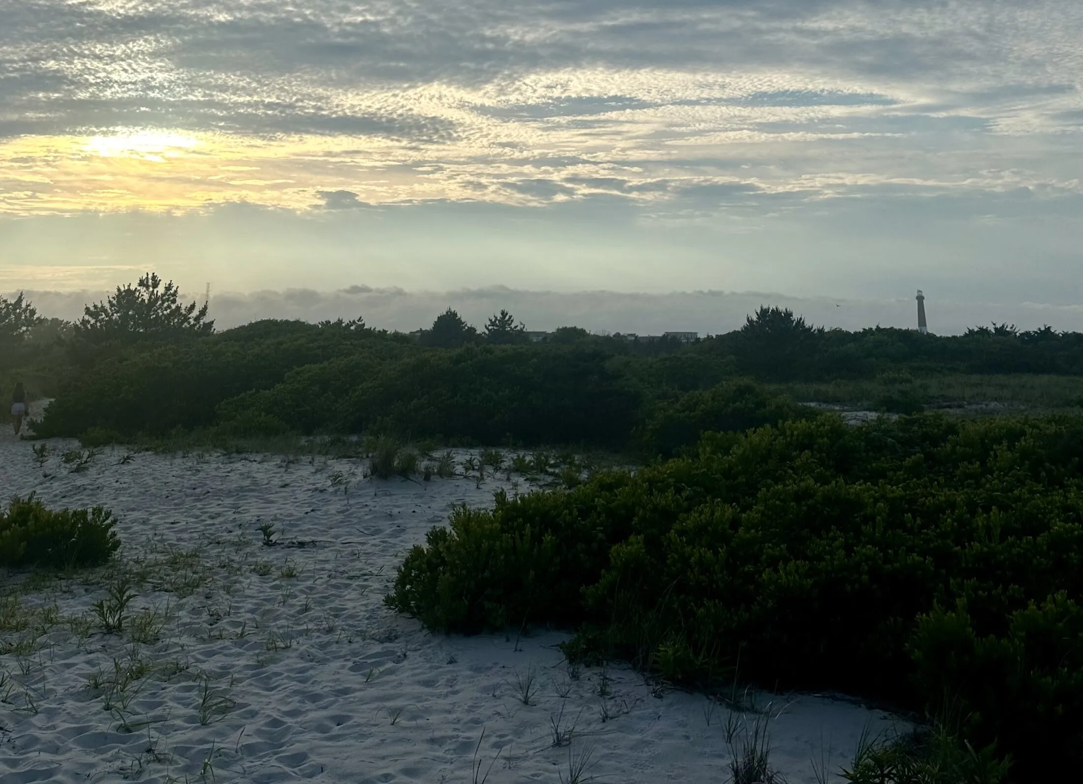 Explore the Best Walking & Hiking Trails on LBI
