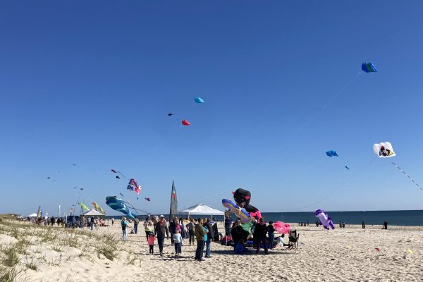 Photo by The Guarino Team