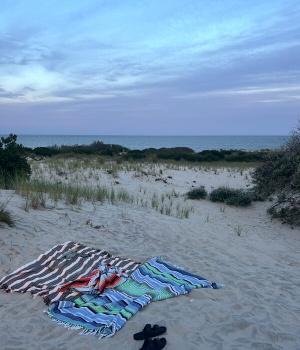 Photo by The Guarino Team