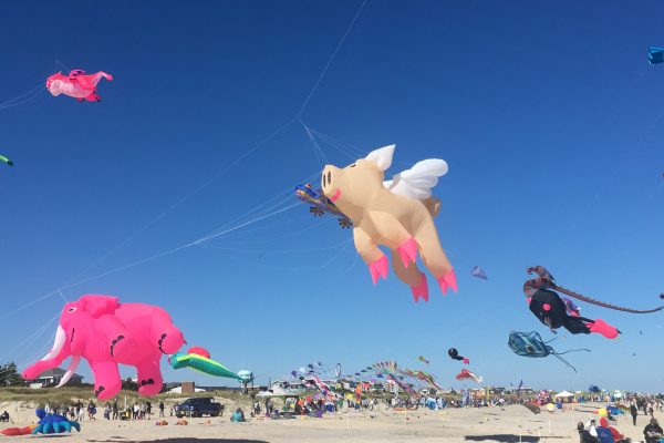 Photo by Patrick Johns