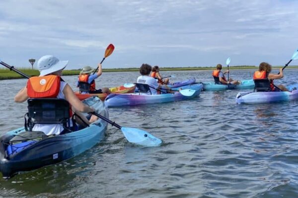 Photo by Bayview Harbor