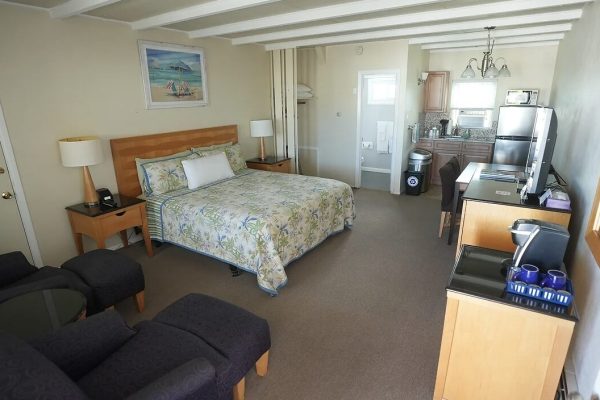 Screen Shot 2024-07-12 at 10.51.13 AM