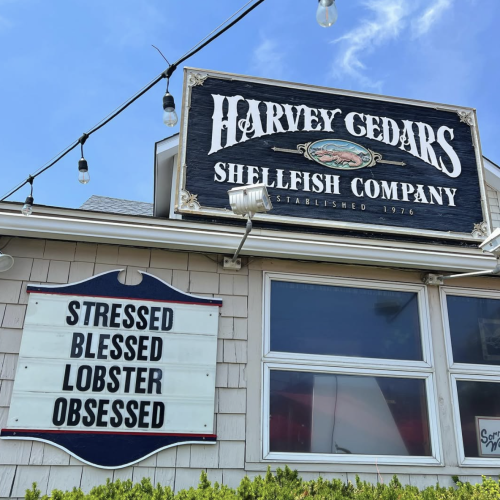 Screenshot 2025-08-20 at 8.52.45 AM