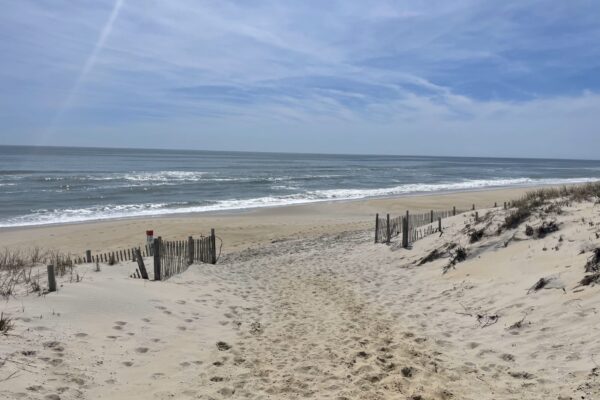 Featured image of Surf City Bay Beach in Long Beach Island Lifestyle Page