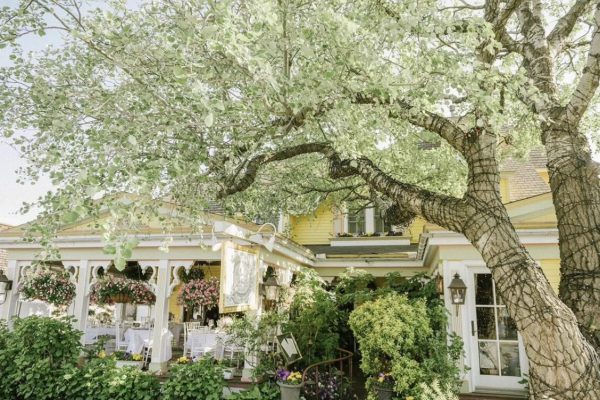 a charming building with a large tree spreading its branches over the porch.