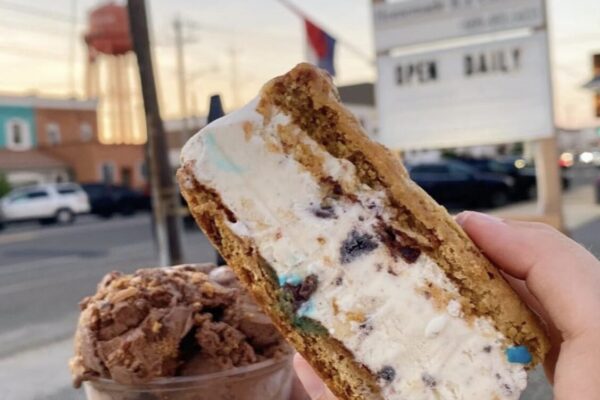 a hand holding a cookie sandwich with ice cream, with a cup of ice cream next to it