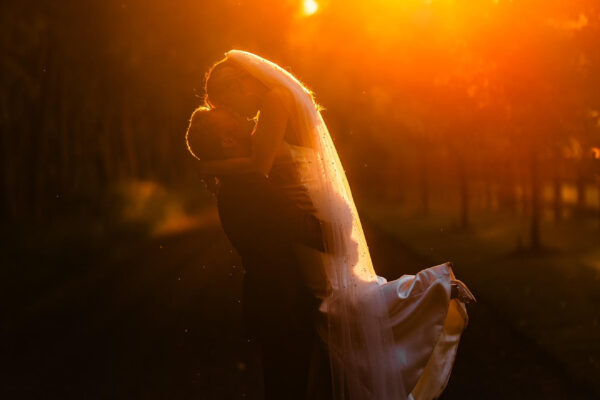 Credit: Image by Ann Coen Photography